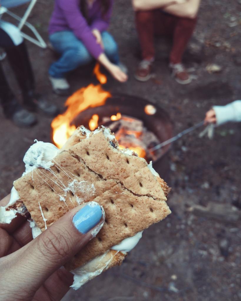 holding up smore's over a campfire